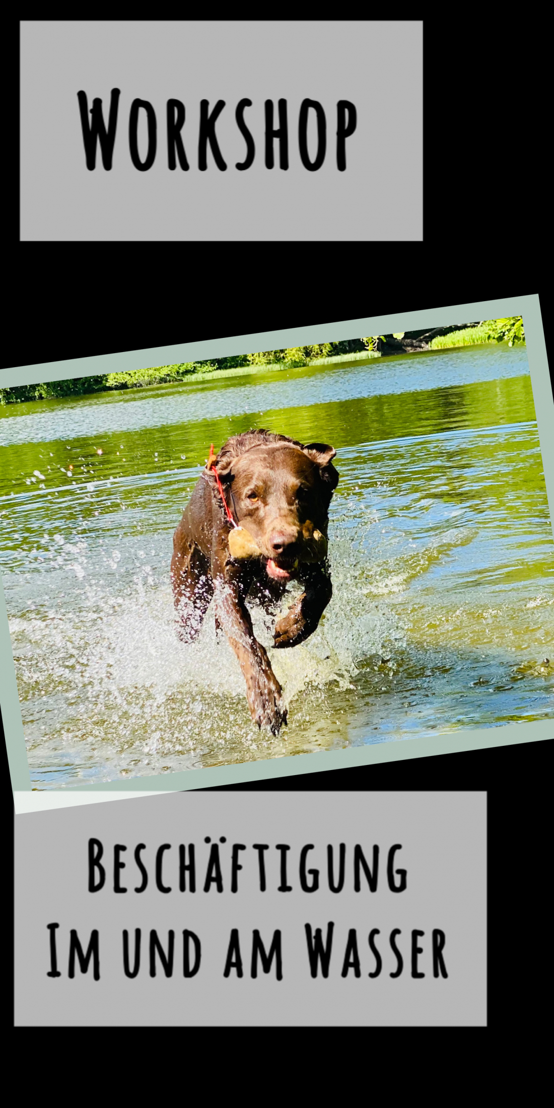 Workshop - Beschäftigung im und am Wasser - Basis