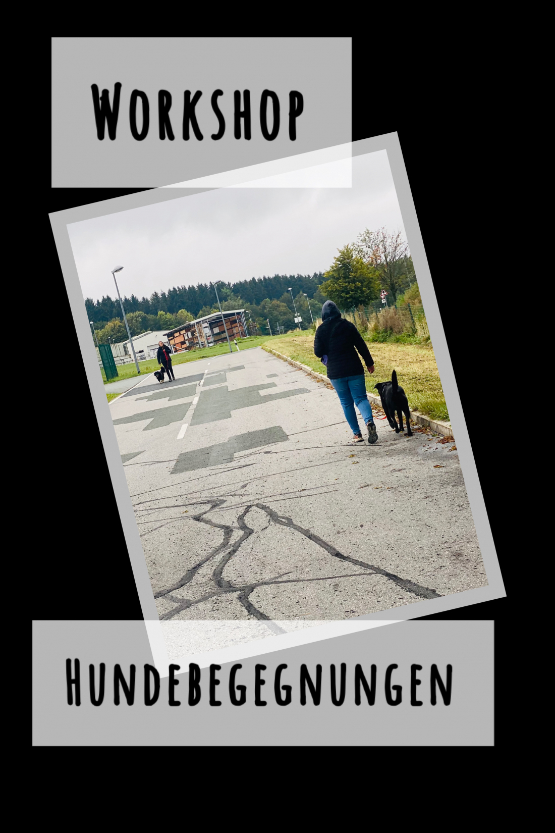 Workshop - Hundebegegnungen